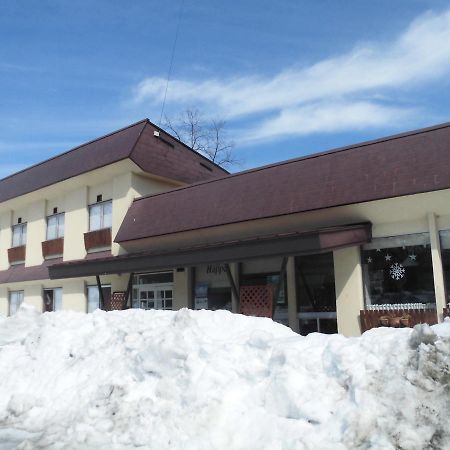 Lodge Villa Happo Hakuba Eksteriør bilde